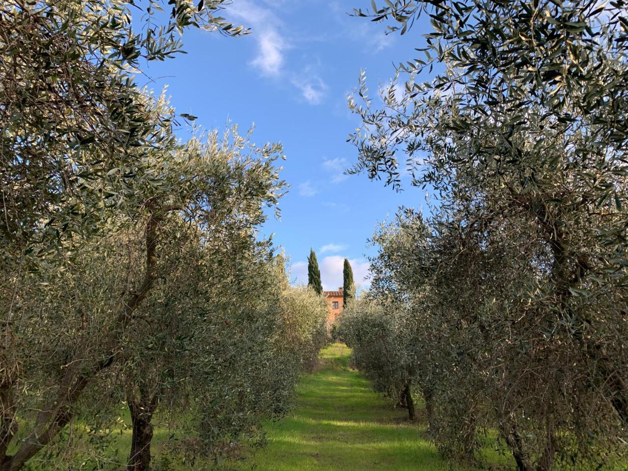 Country Aparthotel Preselle