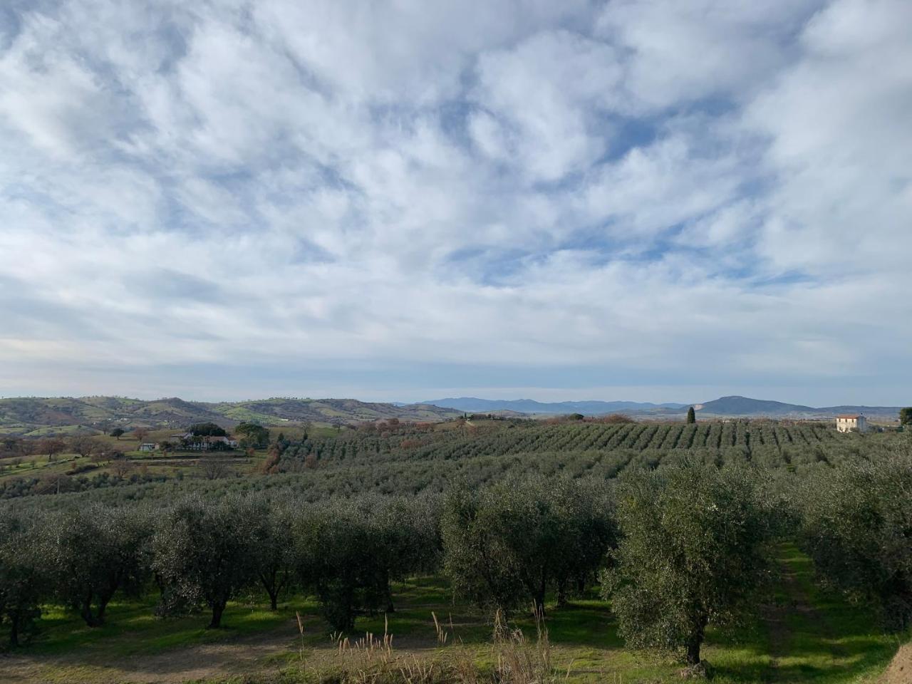 Country Apart-hotel Preselle